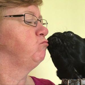 Meet your Posher, Eileen